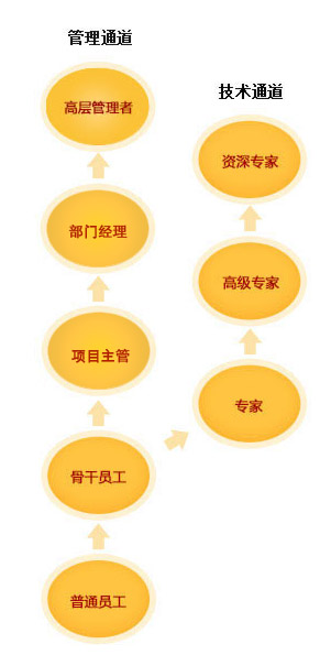 尊龙集团官网员工成长通道