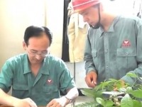 《如果当时》安全月微电影