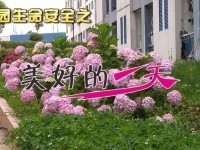 校园生命安全之《美好的一天》