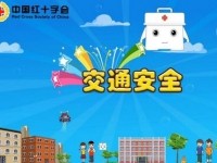 应急救护动画短片：第二集交通安全