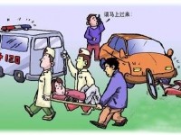 如何避免车祸与自救技巧