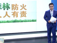 遭遇森林火灾，该如何自救？