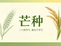 今日芒种｜暴雨+高温，安全勿松懈